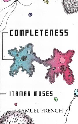 Completeness, de Itamar Moses