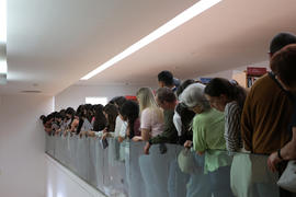 Fotografia 53: Rato de Biblioteca (Biblioteca Municipal Afonso Duarte)