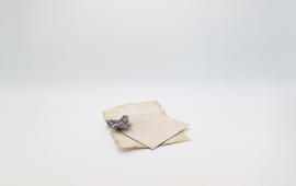 Carta 3 — Gimcrack