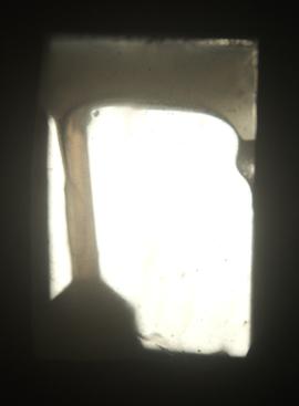 Fotografia 43 (processo criativo projeção): iMaculada