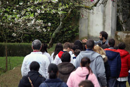 Fotografia 06: A Ousadia da Primavera