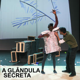 Instagram: A Glândula Secreta