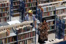 Fotografia 01: Rato de Biblioteca