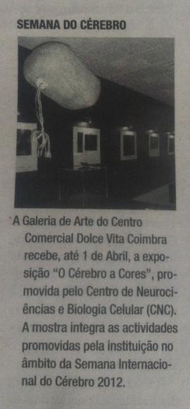 Diário de Coimbra: Semana do Cérebro