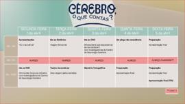 Horário: Cérebro, o que contas?