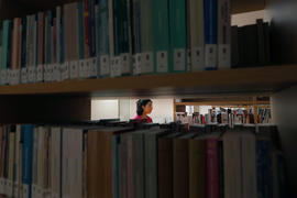 Fotografia 57: Rato de Biblioteca (Biblioteca Municipal Afonso Duarte)