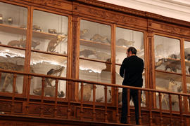 Fotografia 48: "Amor, mentiras e taxidermia", de Alan Harris