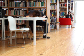 Fotografia 38: Rato de Biblioteca (Biblioteca Municipal Afonso Duarte)
