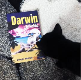 Imagem 3: &quot;Darwin em Malibu&quot;, de Crispin Whittell