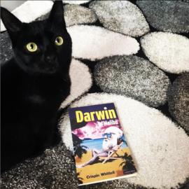 Imagem 2: &quot;Darwin em Malibu&quot;, de Crispin Whittell