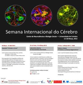 Programa da Semana Internacional do Cérebro: Brain