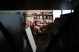 Fotografia 65: Rato de Biblioteca (Biblioteca Escolar EBS)