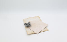 Carta 4 — Gimcrack