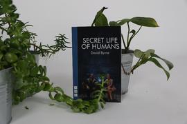 Imagem redes sociais: “Secret life of humans“, de David Byrne