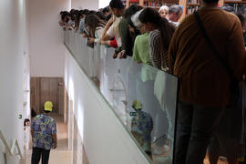 Fotografia 54: Rato de Biblioteca (Biblioteca Municipal Afonso Duarte)