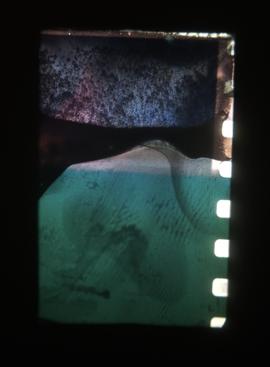 Fotografia 35 (processo criativo projeção): iMaculada
